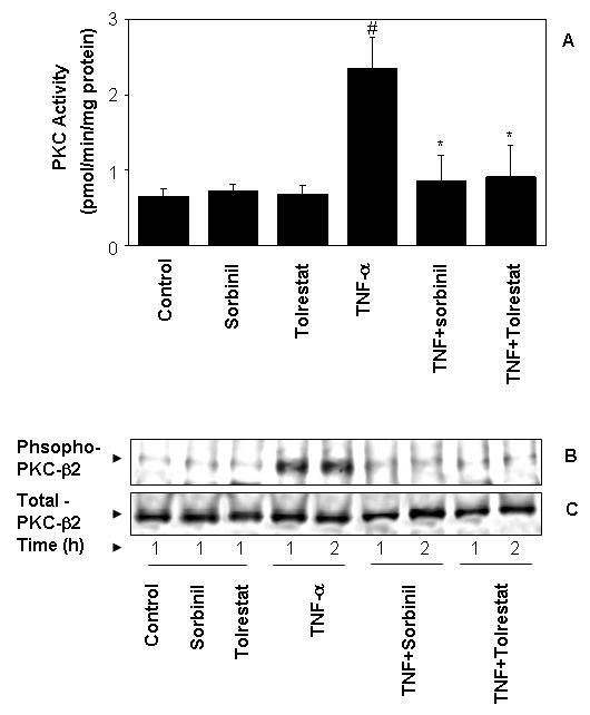 Fig.4