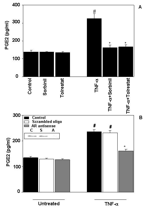 Fig.1