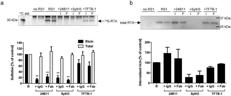 FIG 3 