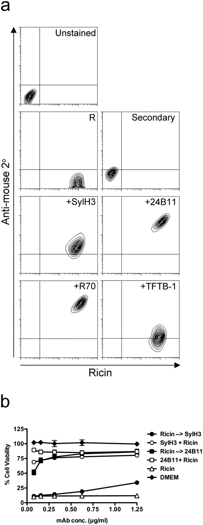 FIG 1 