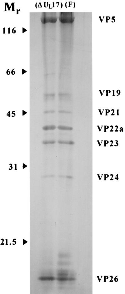 FIG. 6