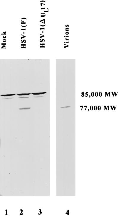 FIG. 7