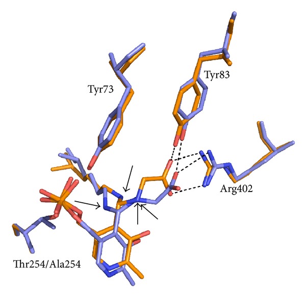 Figure 5