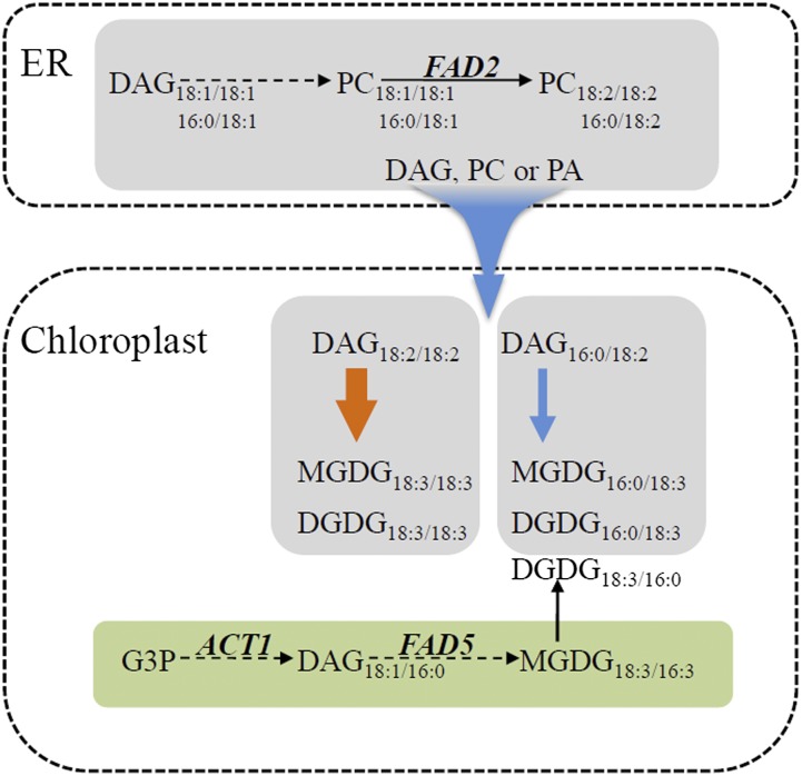 Figure 9.