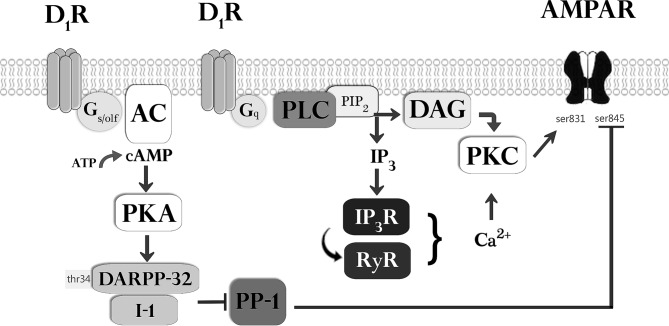 Fig 5