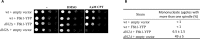 Fig 8
