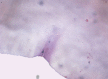 Fig. 3: