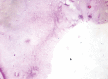 Fig. 1: