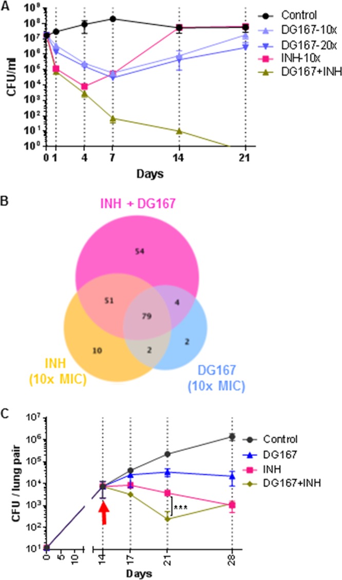 FIG 4