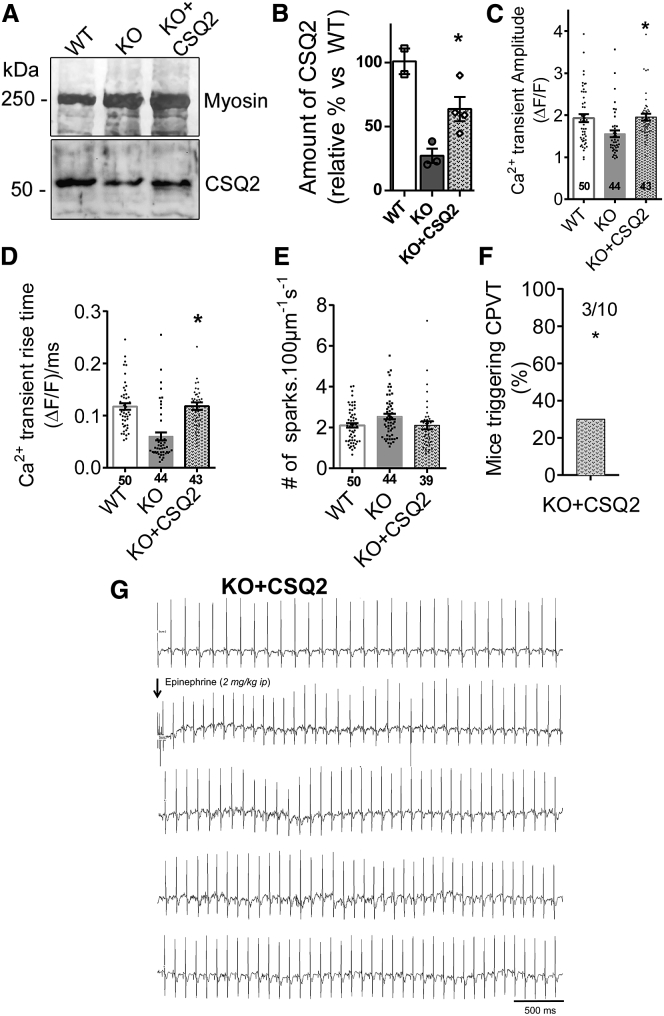 Figure 5
