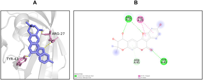 FIGURE 7