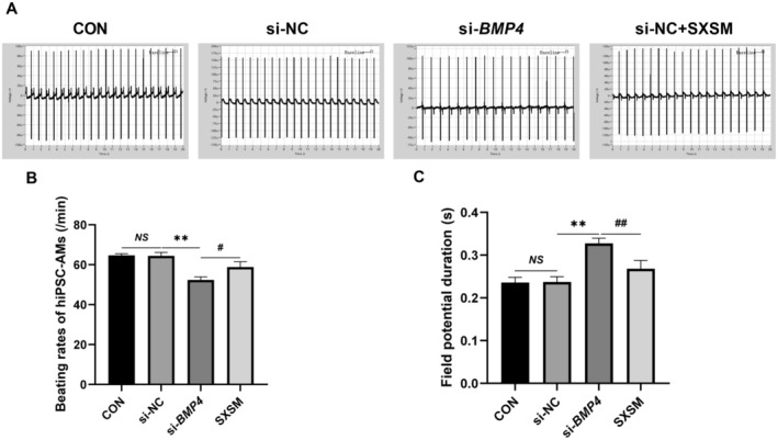 FIGURE 12