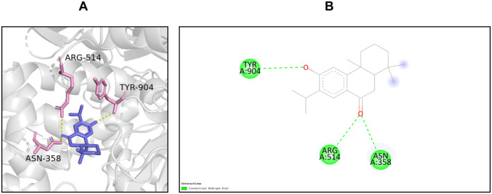 FIGURE 9