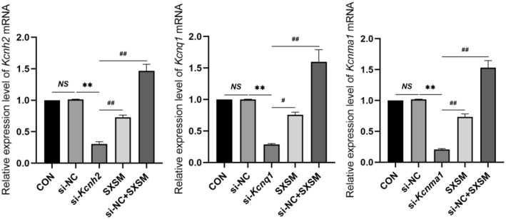 FIGURE 11