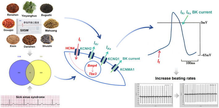 FIGURE 14