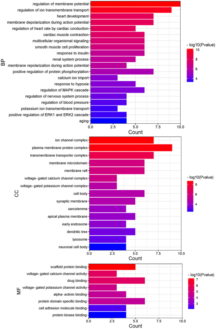 FIGURE 4