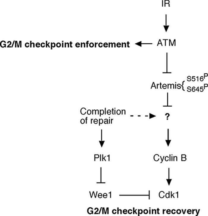 FIG. 6.