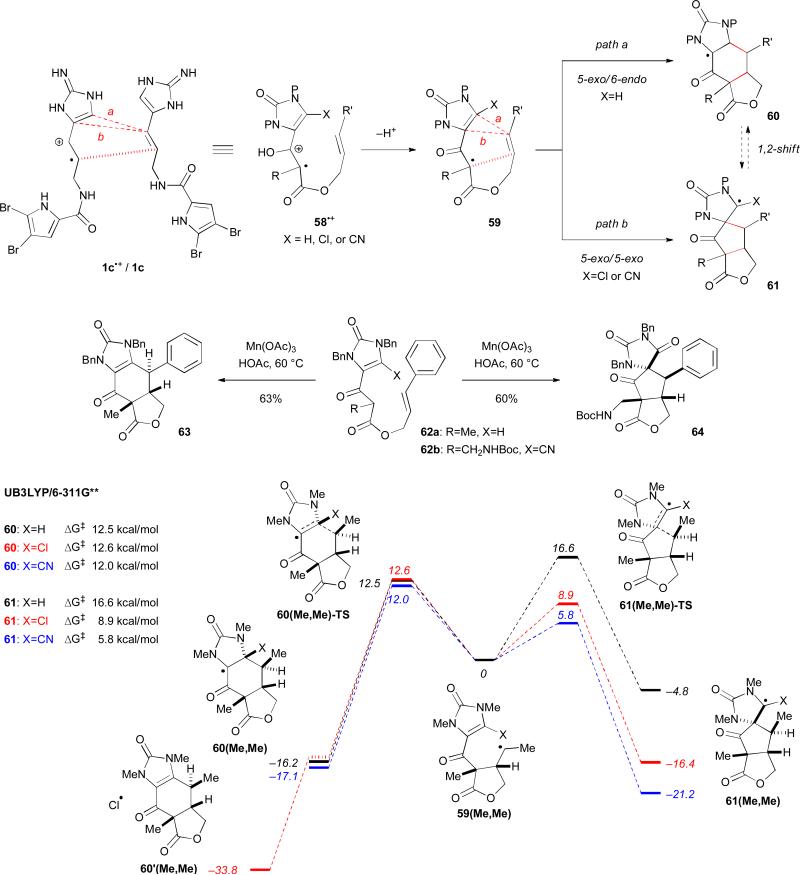 Fig. 10