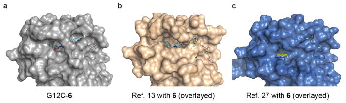 Extended Data Figure 1