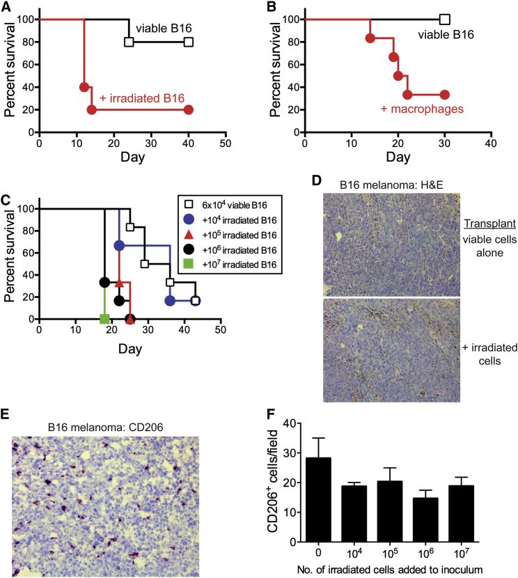 Figure 6