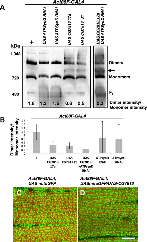 Fig. 4