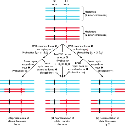 Figure 1.—