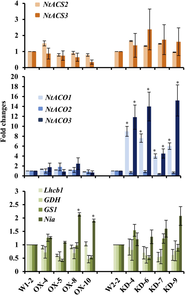 Figure 4.