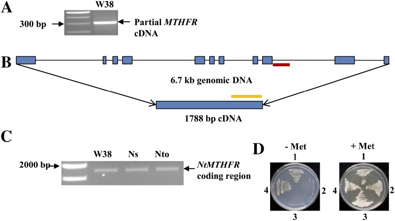 Figure 1.