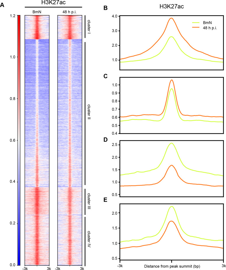 Fig 7