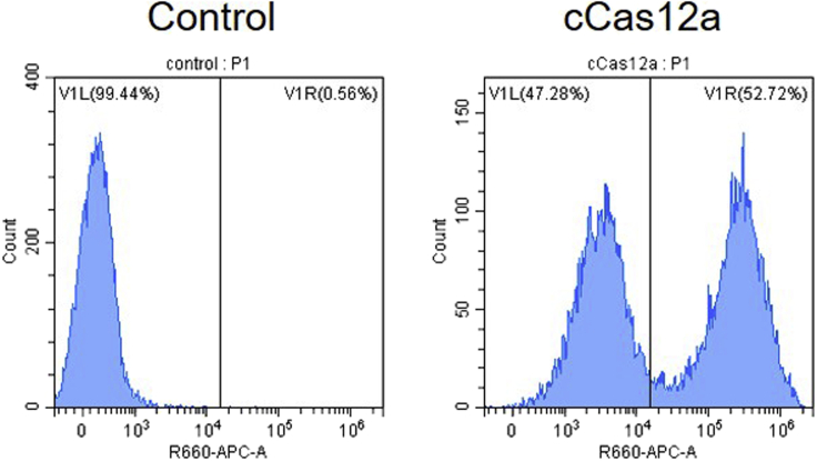 Figure 2