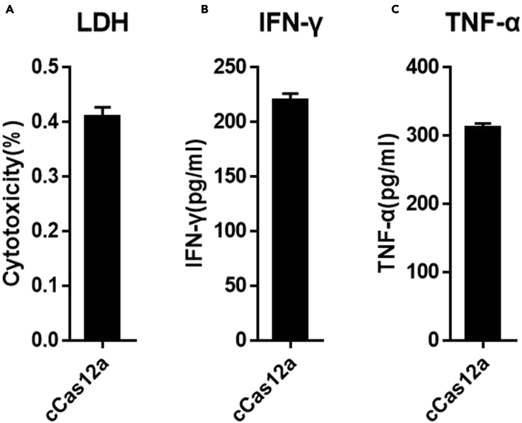 Figure 4