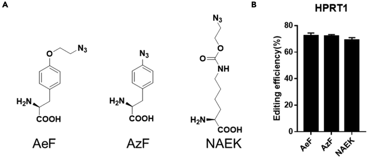 Figure 5