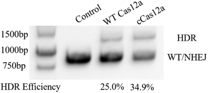 Figure 3