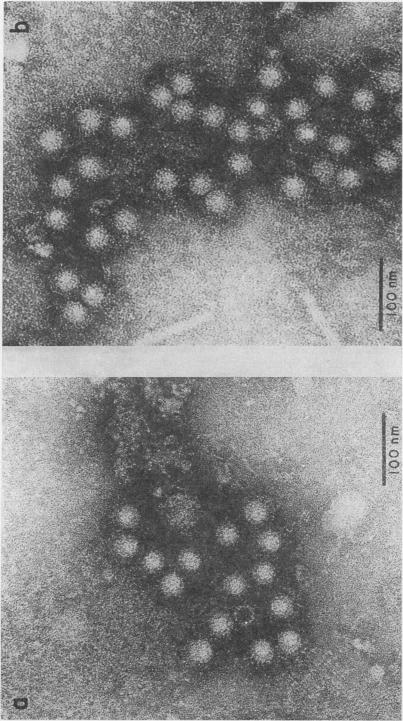 Fig. 1a and 1b