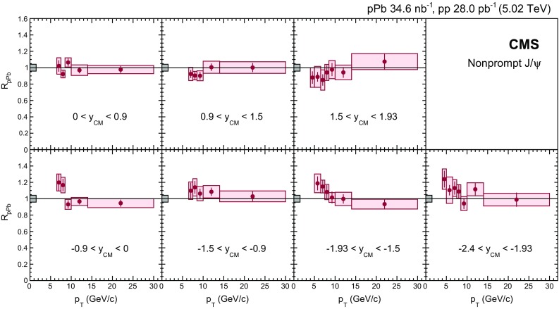 Fig. 10