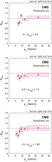 Fig. 12