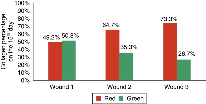 Figure 13