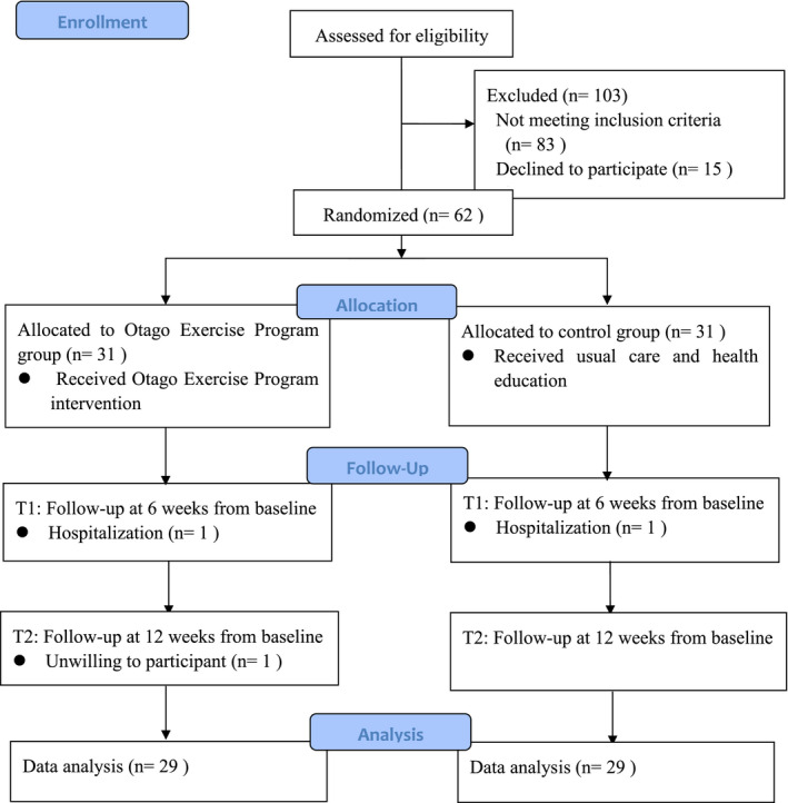 FIGURE 1