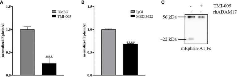 Figure 5