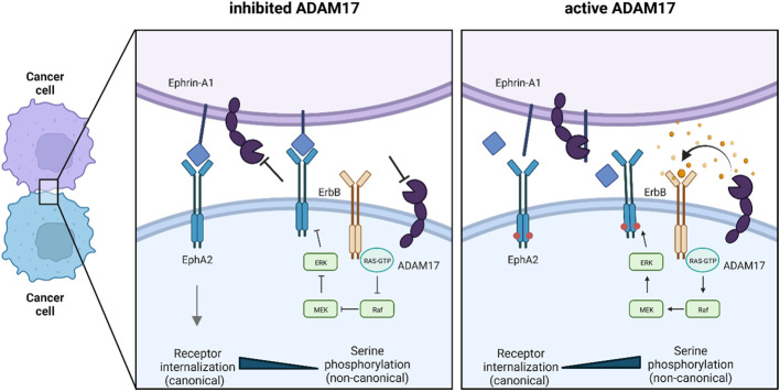 Figure 6