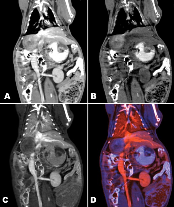 Figure 2: