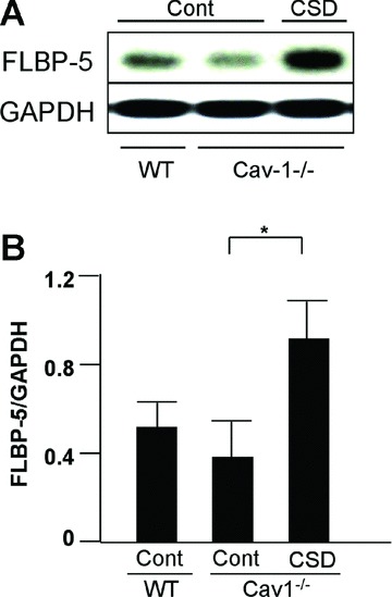 Fig 7