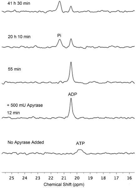 Fig 5