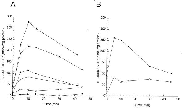 FIG. 6