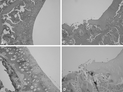 Fig. 3A–D