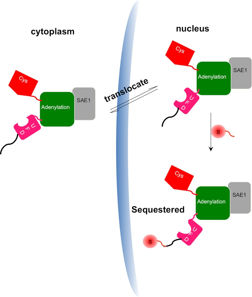 FIGURE 5.