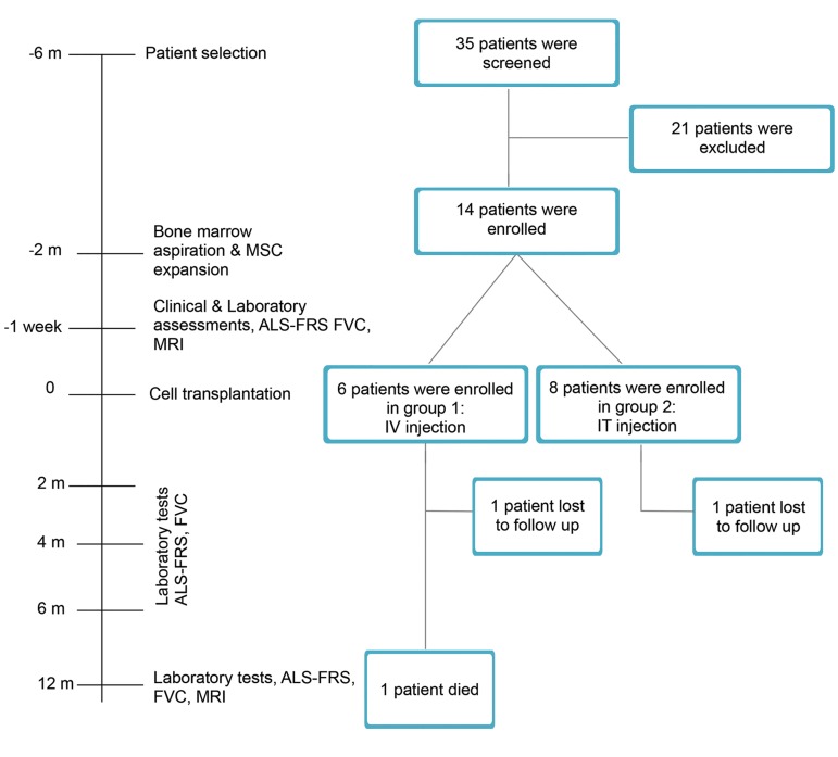 Fig.1