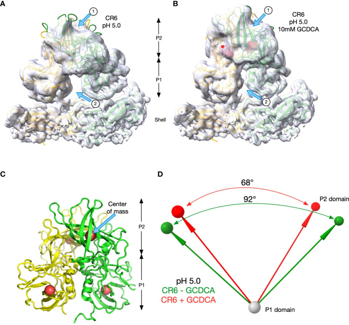 Figure 7