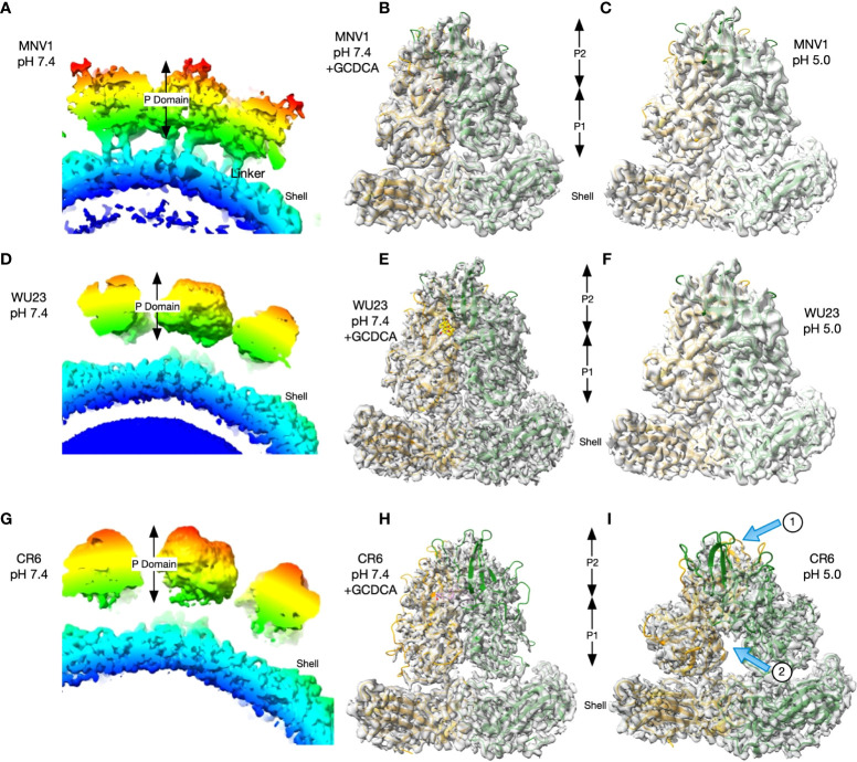 Figure 6