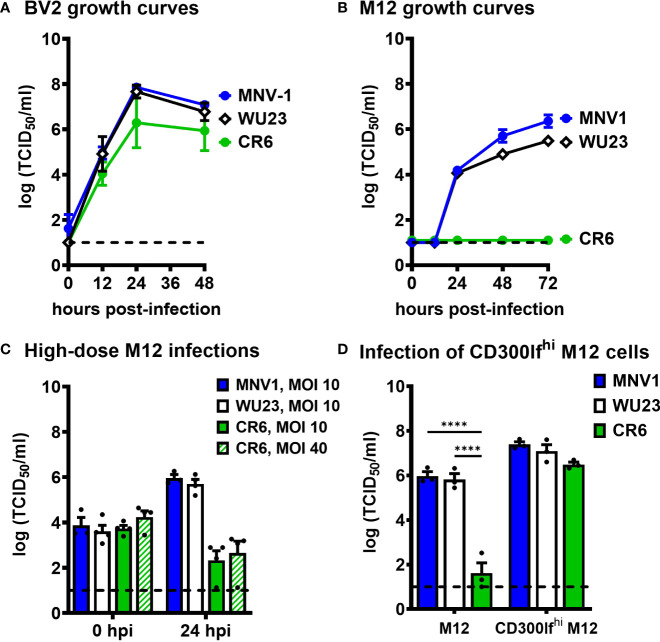 Figure 4